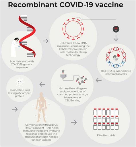 la pipette.labs covid vaccine|[1/3] As the race toward a vaccine against covid.